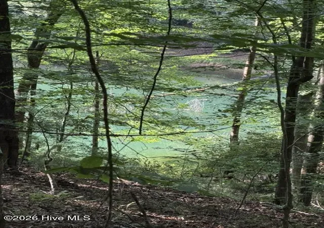Homes for sale in Murphy, NC | Lot 37 Quiet Waters Rd, Murphy, NC 28906 | MLS# 100582480