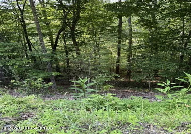 Homes for sale in Murphy, NC | Lot 37 Quiet Waters Rd, Murphy, NC 28906 | MLS# 100582480