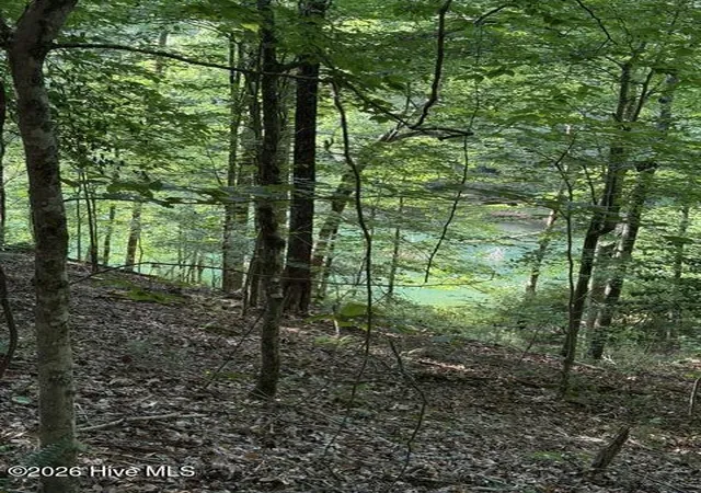 Homes for sale in Murphy, NC | Lot 37 Quiet Waters Rd, Murphy, NC 28906 | MLS# 100582480