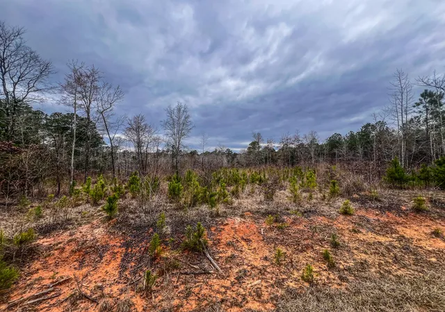 2nd image of 1080 Serenity Pointe Dr, Lincolnton, GA 30817 | MLS# 98211841