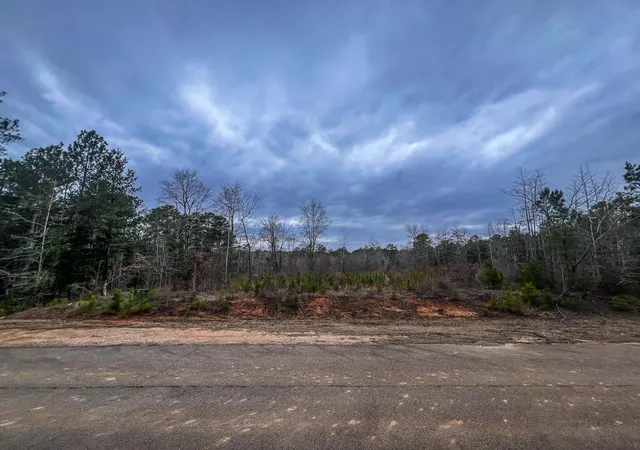 4th image of 1080 Serenity Pointe Dr, Lincolnton, GA 30817 | MLS# 98211841