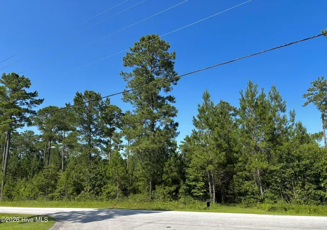Photo 3 of Land for sale at 00 Lee Rogers Rd, Hubert, NC 28539 | MLS# 100573206 | Listing updated on 2026-06-30