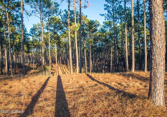Photo 2 of Land for sale at 145 Pixie Moss Ln, Southern Pines, NC 28387 | MLS# 100463337 | Listing updated on 2026-03-02