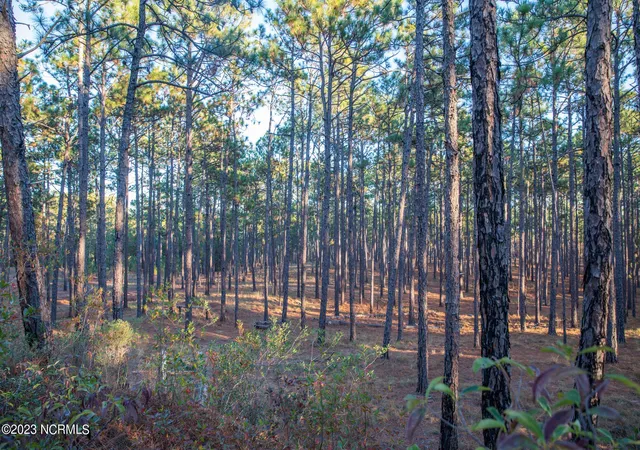 Photo 3 of Land for sale at 145 Pixie Moss Ln, Southern Pines, NC 28387 | MLS# 100463337 | Listing updated on 2026-03-02