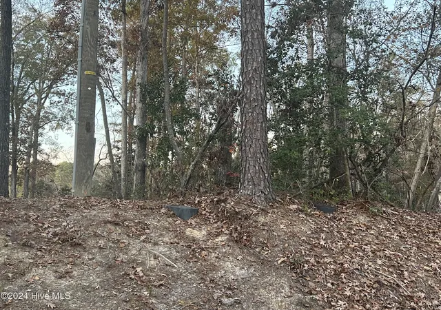 Photo 1 of Land for sale at 204 Lakeview Dr, Whispering Pines, NC 28327 | MLS# 100552420 | Listing updated on 2026-09-21