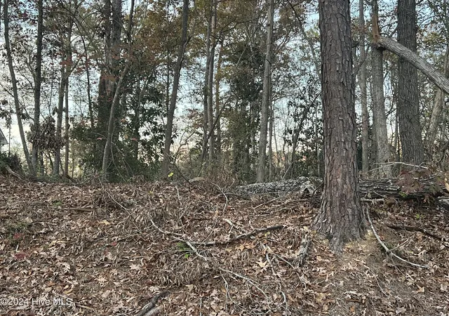 Photo 2 of Land for sale at 204 Lakeview Dr, Whispering Pines, NC 28327 | MLS# 100552420 | Listing updated on 2026-09-21
