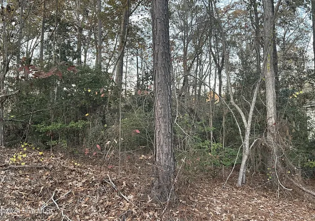 Photo 3 of Land for sale at 204 Lakeview Dr, Whispering Pines, NC 28327 | MLS# 100552420 | Listing updated on 2026-09-21