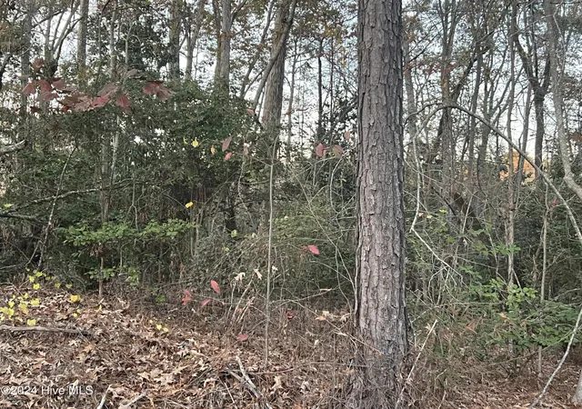 Photo 3 of Land for sale at 204 Lakeview Dr, Whispering Pines, NC 28327 | MLS# 100552420 | Listing updated on 2026-09-21