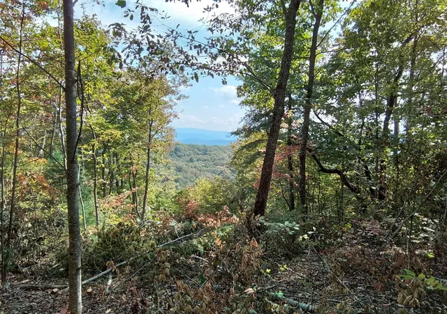3rd image of End Of Tanglewood Rdg, Murphy, NC 28906 | MLS# 98524907