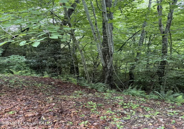 Photo 1 of Land for sale at Lot 14 Mountain Vista Ln, Topton, NC 28781 | MLS# 100593363 | Listing updated on 2026-08-18
