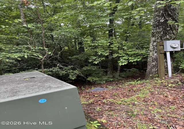 Photo 2 of Land for sale at Lot 14 Mountain Vista Ln, Topton, NC 28781 | MLS# 100593363 | Listing updated on 2026-08-18