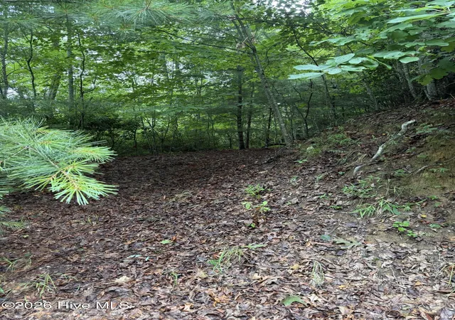 Photo 3 of Land for sale at Lot 14 Mountain Vista Ln, Topton, NC 28781 | MLS# 100593363 | Listing updated on 2026-08-18