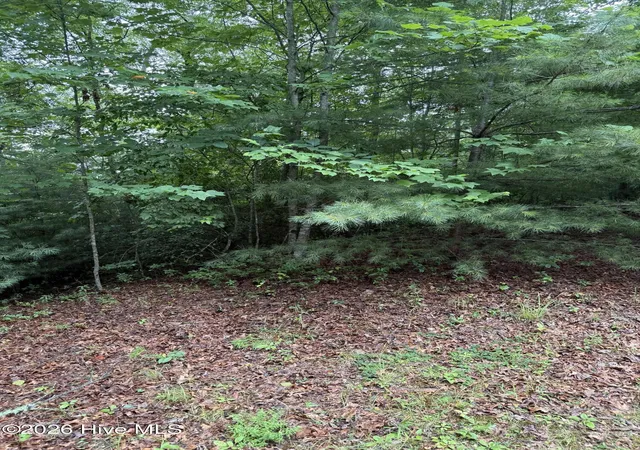 Photo 3 of Land for sale at Lot 14 Mountain Vista Ln, Topton, NC 28781 | MLS# 100593363 | Listing updated on 2026-08-18