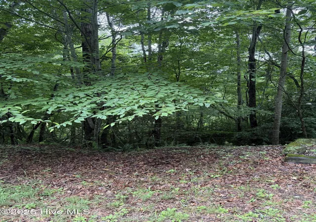 Photo 4 of Land for sale at Lot 14 Mountain Vista Ln, Topton, NC 28781 | MLS# 100593363 | Listing updated on 2026-08-18