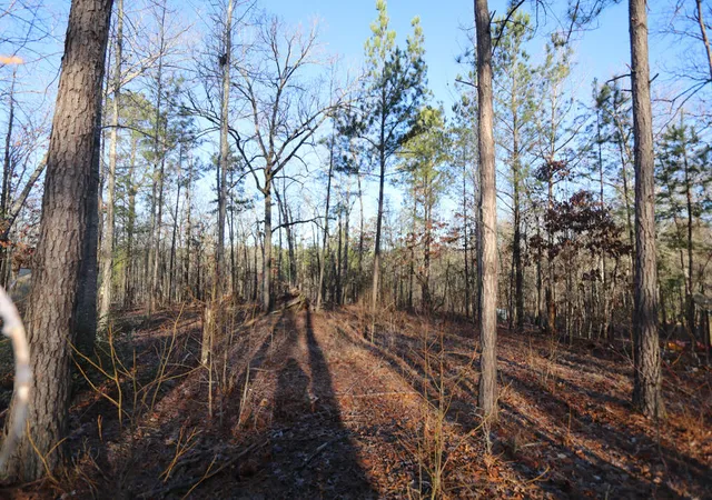 2nd image of 1102 Dogwood Dr, Lincolnton, GA 30817 | MLS# 98212075
