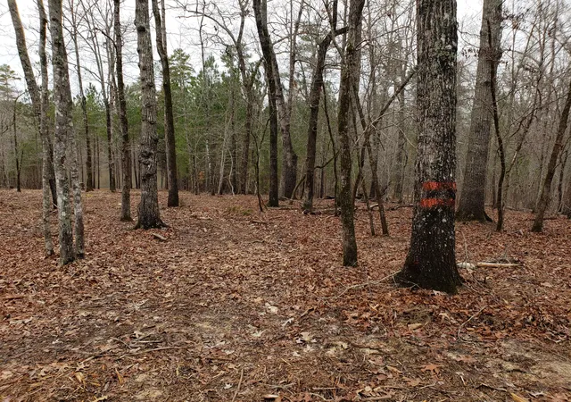 3rd image of 1102 Dogwood Dr, Lincolnton, GA 30817 | MLS# 98212075