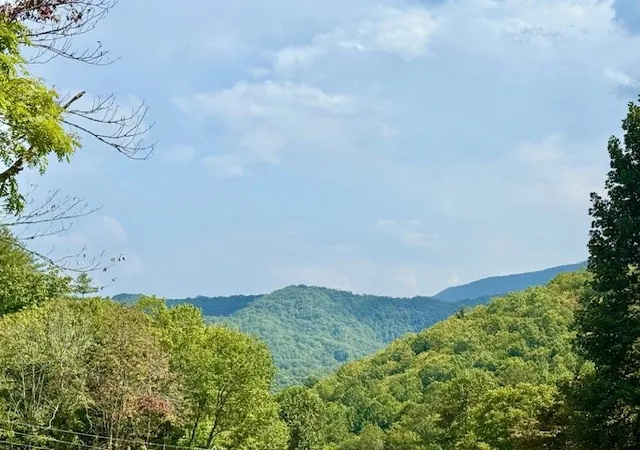 Homes for sale in Robbinsville, NC | 1351 Cody Branch Rd, Robbinsville, NC 28771 | MLS# 98543446