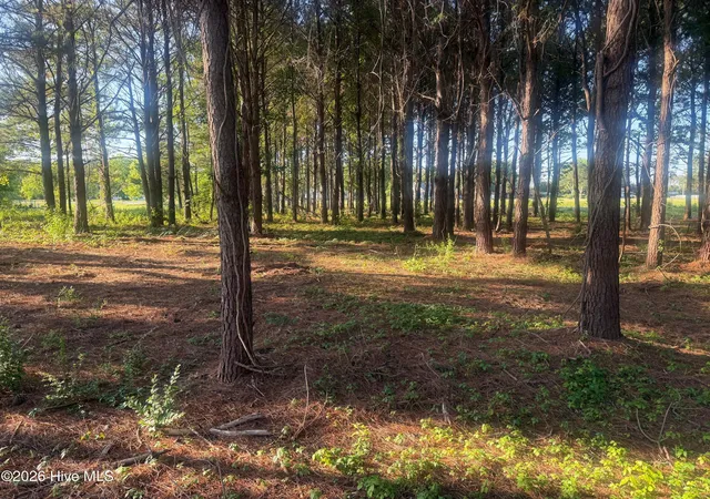 Photo 3 of Land for sale at 110 Turnstone Way, Beaufort, NC 28516 | MLS# 100574910 | Listing updated on 2026-09-04
