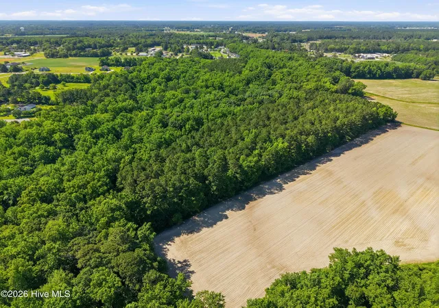 17th image of 0 North Carolina 43 Hwy S, Winterville, NC 28590 | MLS# 100578561