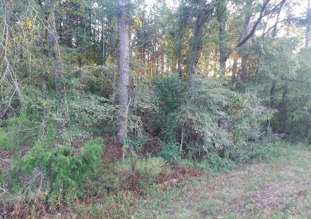 2nd image of 0 Clary Cut Rd, Appling, GA 30802 | MLS# 98225084