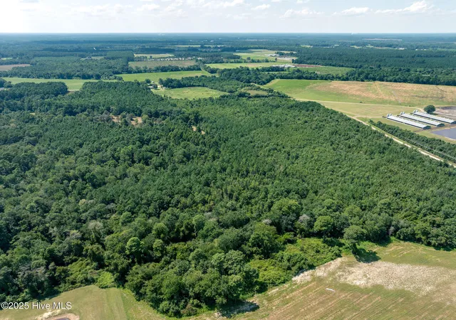 Photo 3 of Land for sale at Tbd (1951) Carrtown Dr, Greenevers, NC 28458 | MLS# 100527499 | Listing updated on 2026-05-26