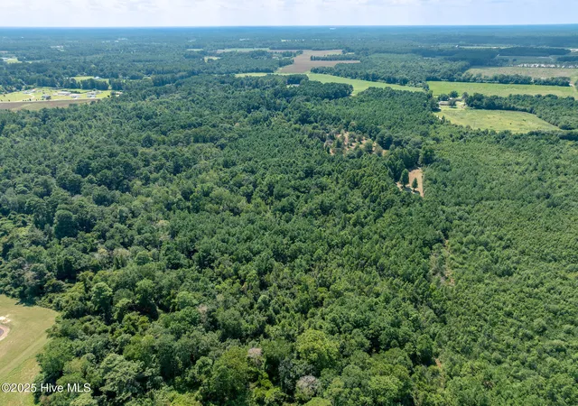 Photo 4 of Land for sale at Tbd (1951) Carrtown Dr, Greenevers, NC 28458 | MLS# 100527499 | Listing updated on 2026-05-26