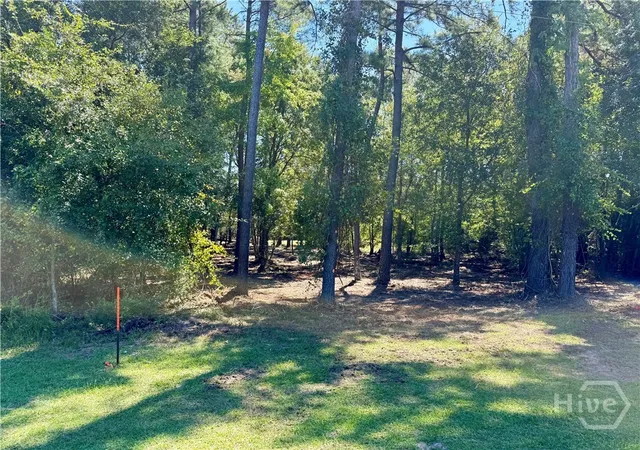Homes for sale in Sylvania, GA | 0 Friendship Rd, Sylvania, GA 30467 | MLS# SA358585