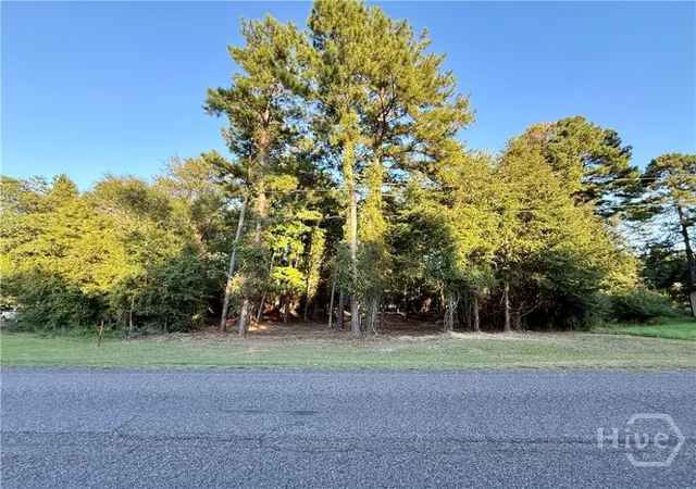 Homes for sale in Sylvania, GA | 0 Friendship Rd, Sylvania, GA 30467 | MLS# SA358585
