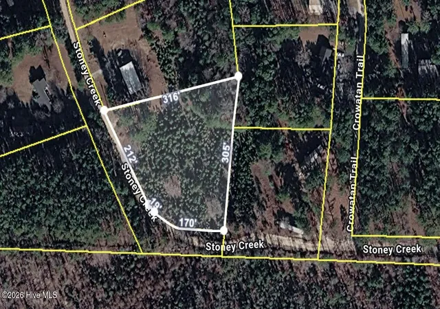 Photo 1 of Land for sale at 142 Acres Stoney Creek Dr, Carthage, NC 28327 | MLS# 100600032 | Listing updated on 2026-08-30