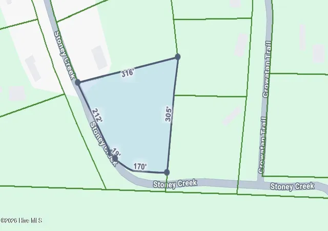 Photo 2 of Land for sale at 142 Acres Stoney Creek Dr, Carthage, NC 28327 | MLS# 100600032 | Listing updated on 2026-08-30