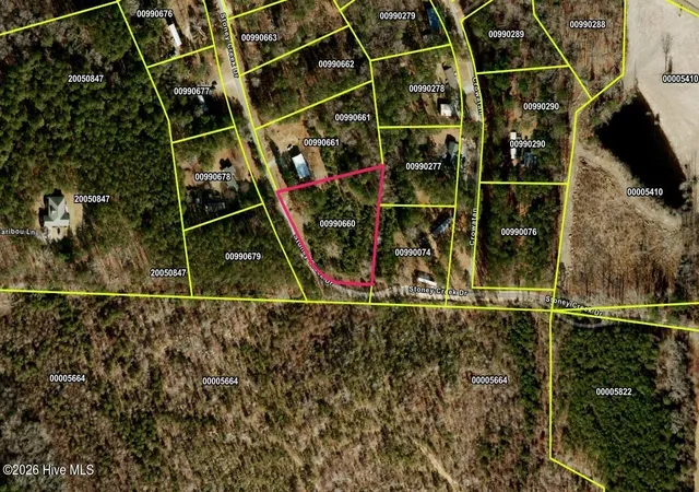 Photo 4 of Land for sale at 142 Acres Stoney Creek Dr, Carthage, NC 28327 | MLS# 100600032 | Listing updated on 2026-08-30