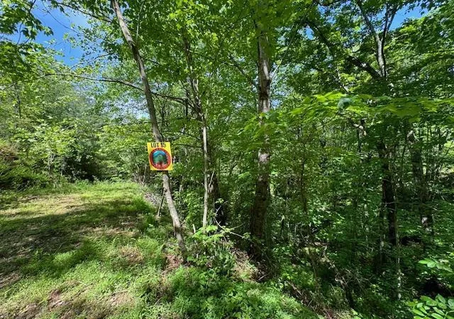 Homes for sale in Marble, NC | Lot 15 Paradise, Marble, NC 28905 | MLS# 98524944