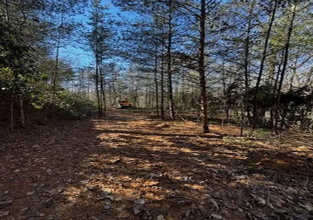 Homes for sale in Marble, NC | Lot 15 Paradise, Marble, NC 28905 | MLS# 98524944