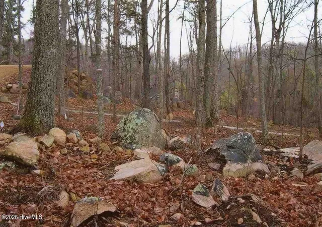 Photo 3 of Land for sale at 75002 Miller, Chapel Hill, NC 27517 | MLS# 100600252 | Listing updated on 2026-08-31