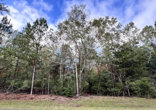 3rd image of Lot B Ridge Rd, Appling, GA 30802 | MLS# 98224905