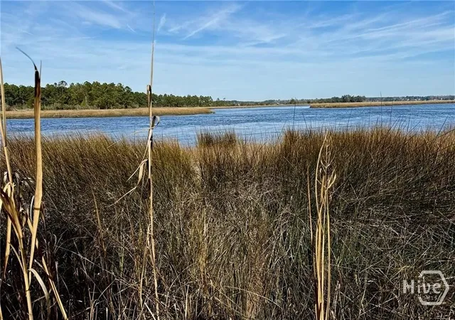 1st image of Lot 58 Jerico Marsh Rd, Midway, GA 31320 | MLS# SA359541