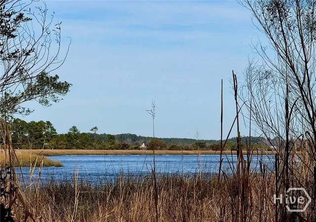 2nd image of Lot 58 Jerico Marsh Rd, Midway, GA 31320 | MLS# SA359541