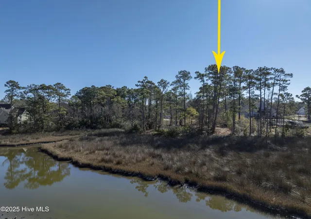 57th image of 327 Chadwick Shores Dr, Sneads Ferry, NC 28460 | MLS# 100559086