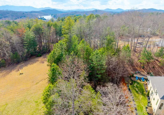 Photo 5 of Land for sale at 43 44 45a Licklog Ridge, Hayesville, NC 28904 | MLS# 98500838 | Listing updated on 2026-07-21
