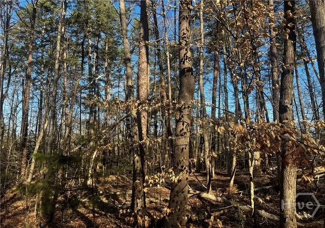 Land for sale at 0 Alpine Way, Lavonia, GA 30553 | MLS# CL354770 | Listing updated on 2026-04-28