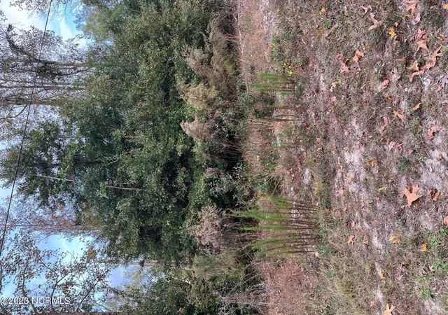 Homes for sale in Southport, NC | 224 Redwood Rd, Southport, NC 28461 | MLS# 100567278