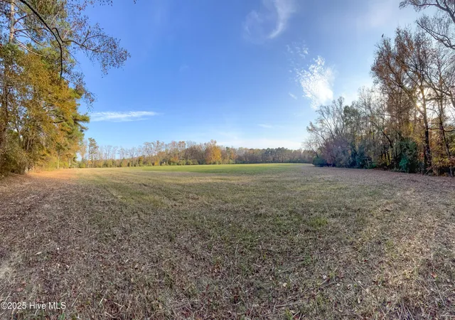 Homes for sale in Teachey, NC | Tr 4A Off High School Rd, Teachey, NC 28464 | MLS# 100543968