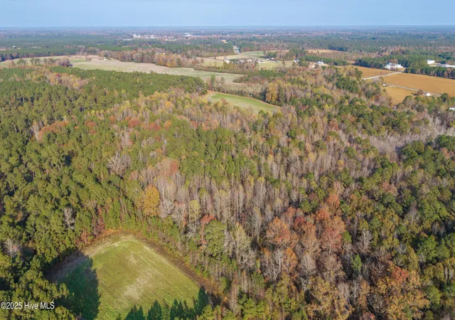 Homes for sale in Teachey, NC | Tr 4A Off High School Rd, Teachey, NC 28464 | MLS# 100543968