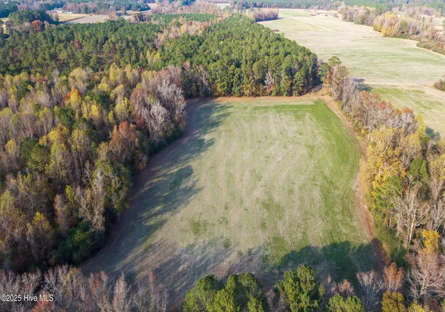 Homes for sale in Teachey, NC | Tr 4A Off High School Rd, Teachey, NC 28464 | MLS# 100543968