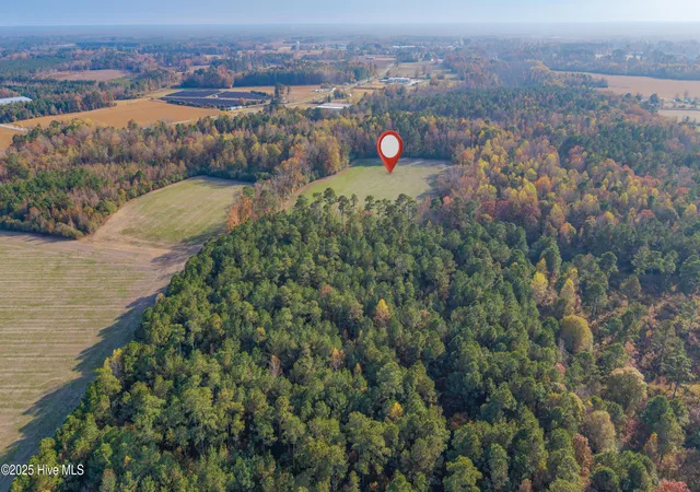 Homes for sale in Teachey, NC | Tr 4a Off High School Rd, Teachey, NC 28464 | MLS# 100543968