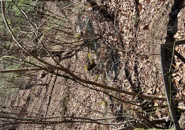Photo 27 of Land for sale at Lots Wolf Mountain Ests, Murphy, NC 28906 | MLS# 98544197 | Listing updated on 2026-07-21