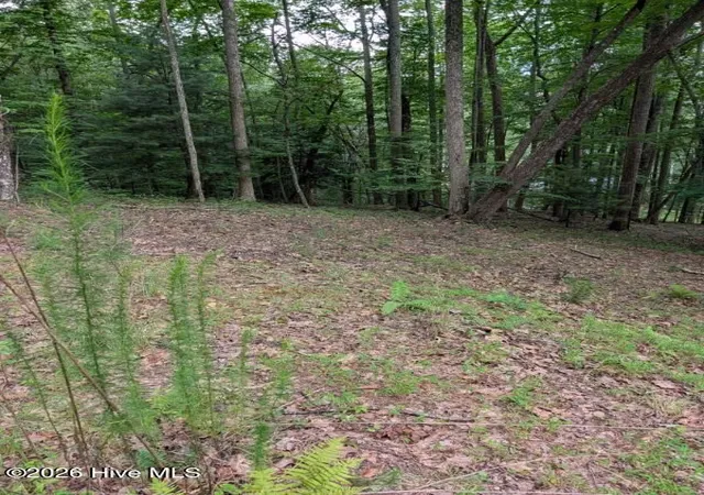 Photo 3 of Land for sale at 190 Valley Crst Dr, Blairsville, GA 30512 | MLS# 100590267 | Listing updated on 2026-07-21