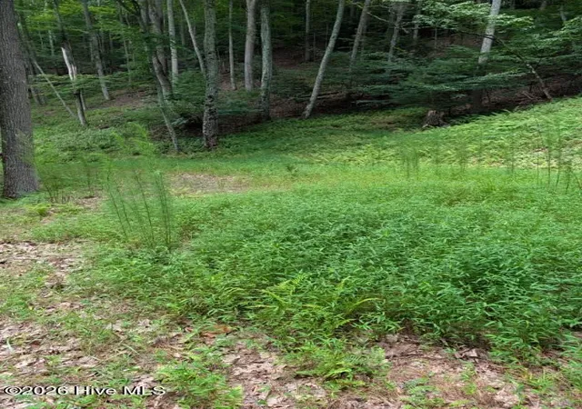 Photo 4 of Land for sale at 190 Valley Crst Dr, Blairsville, GA 30512 | MLS# 100590267 | Listing updated on 2026-07-21