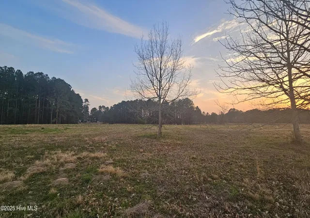 Homes for sale in Wallace, NC | 178 Sycamore Lakes Dr, Wallace, NC 28466 | MLS# 100554257