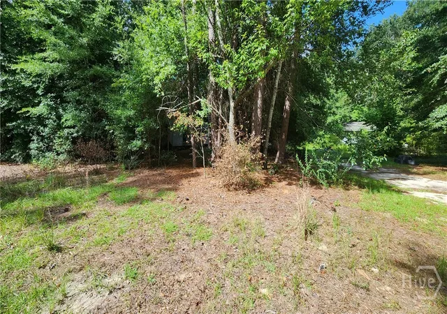 2nd image of 0 Martin Way, Waynesboro, GA 30830 | MLS# SA362494